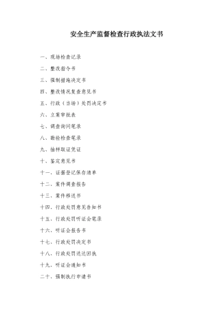 安全生产监督检查行政执法文书-附件一：