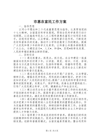 市惠农富民工作实施方案