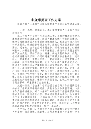 小金库复查工作实施方案