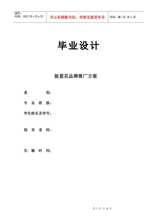 板蓝花推广方案1