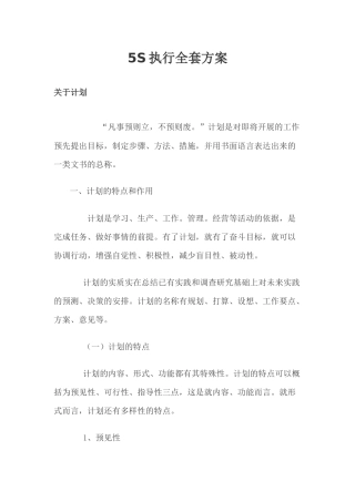 5s执行方案