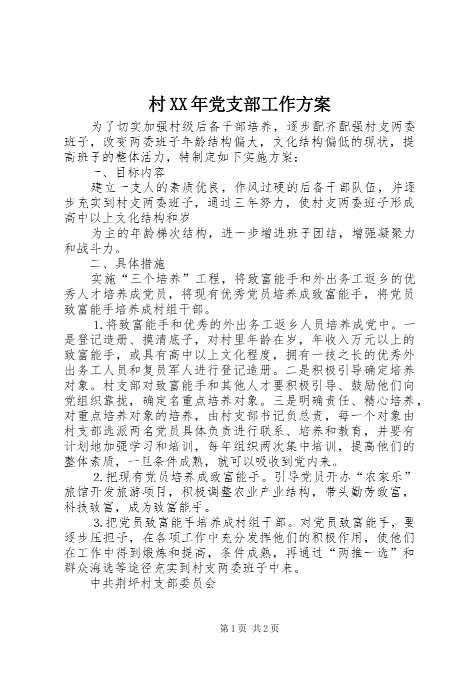 村XX年党支部工作实施方案_第1页
