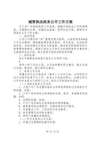 城管执法政务公开工作实施方案