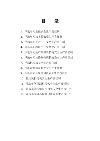 浮选车间各岗位安全生产责任制