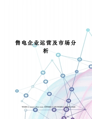 售电企业运营及市场分析修订稿