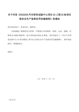 安全生产违章处罚实施细则