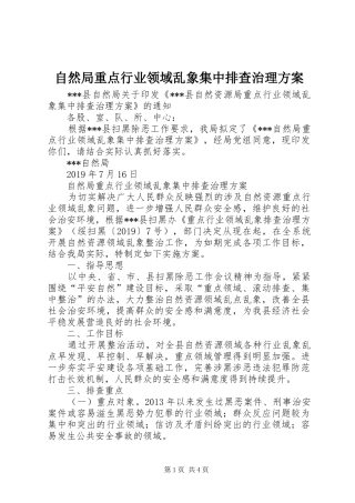 自然局重点行业领域乱象集中排查治理实施方案