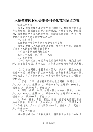 水湖镇费岗村社会事务网格化管理试点实施方案