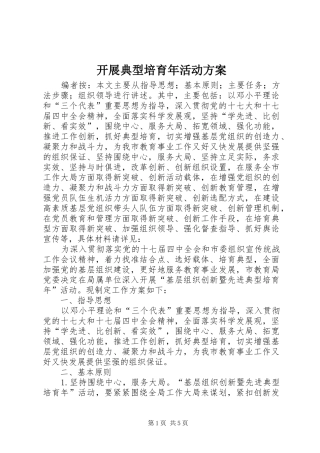 开展典型培育年活动实施方案