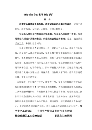 公司级安全教育