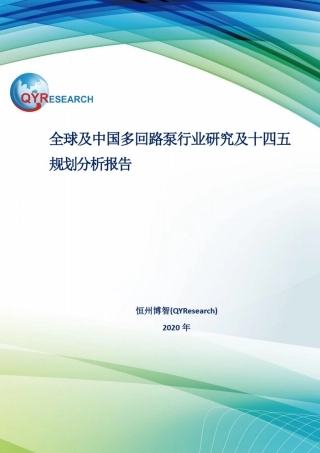 全球及中国多回路泵行业研究及十四五规划分析报告