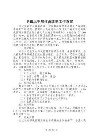 乡镇卫生院体系改革工作实施方案