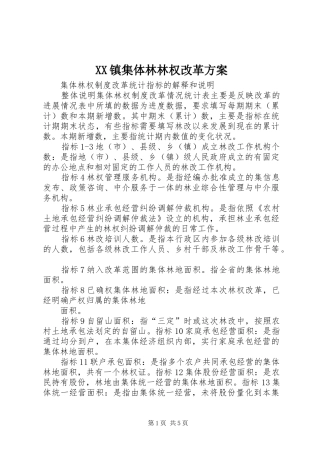 XX镇集体林林权改革实施方案