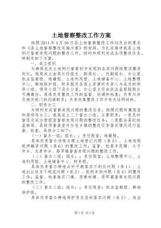 土地督察整改工作实施方案