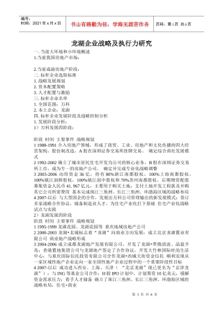 某企业战略及执行力研究报告