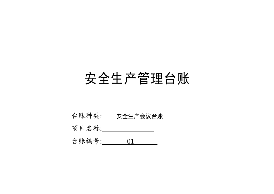 安全生产管理台账_第3页