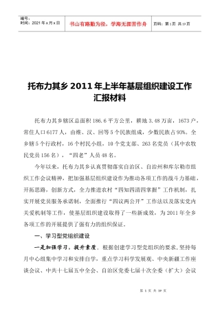 某乡年度上半年基层组织建设工作汇报材料
