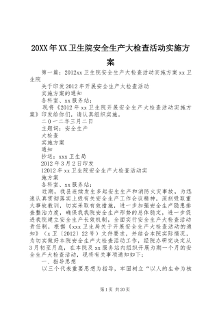 XX年XX卫生院安全生产大检查活动方案