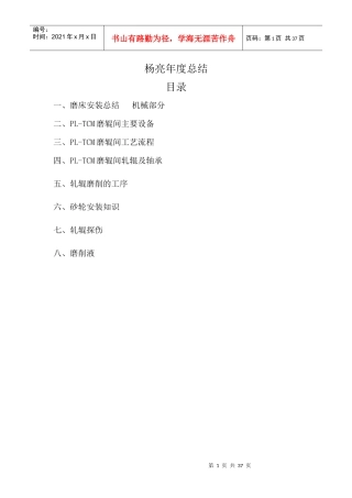 杨亮年度总结（DOC33页）