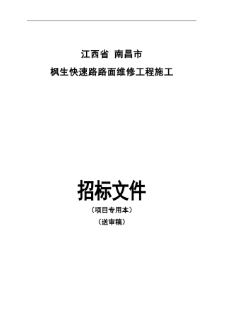 枫生快速路面维修工程