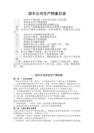 某某公司生产档案