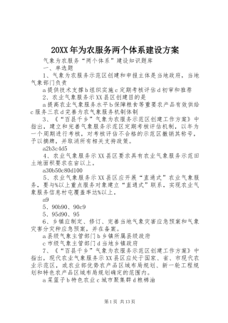XX年为农服务两个体系建设实施方案 ()