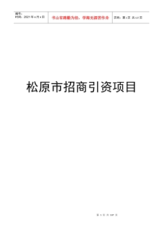 松原市招商引资项目