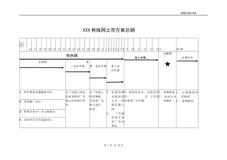 有线网上市方案总纲