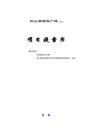 松山湖国际广场项目提案书