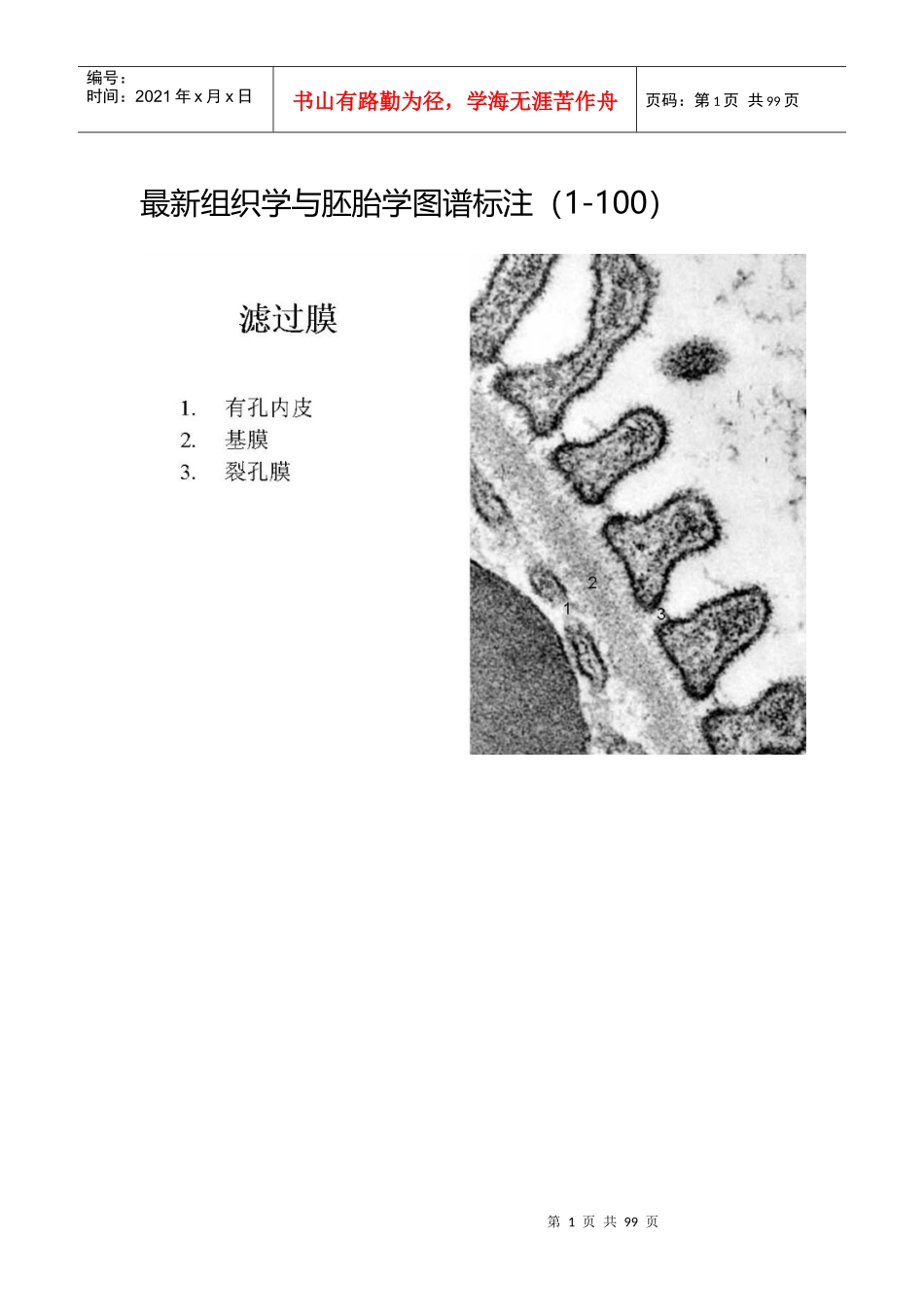 最新组织学与胚胎学图谱标注_第1页