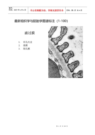 最新组织学与胚胎学图谱标注