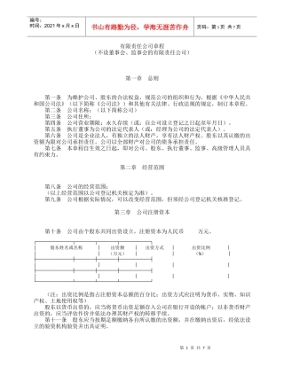 有限责任公司章程 (不设董事会监事会)