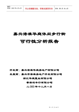 某休闲步行街可行性分析报告