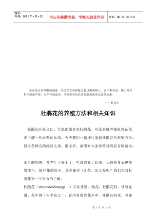 杜鹃花的养殖方法与相关知识