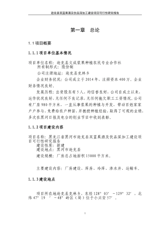 果酒的开发的可行性报告(DOC44页)