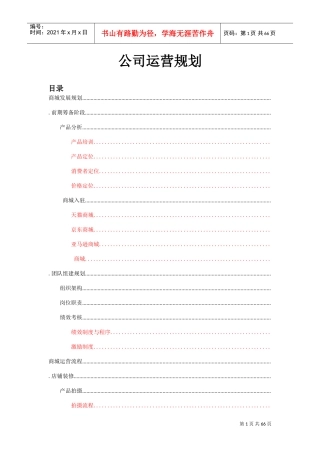 最珍贵公司运营规划（给老板的公司框架方案）(DOC65页)