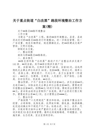 关于重点街道“白改黑”路段环境整治工作实施方案(精)
