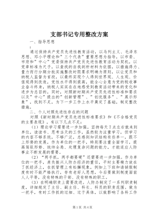 支部书记专用整改实施方案
