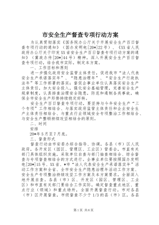 市安全生产督查专项行动实施方案