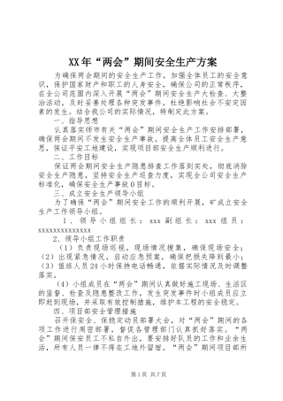 XX年“两会”期间安全生产实施方案
