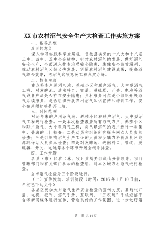 XX市农村沼气安全生产大检查工作方案