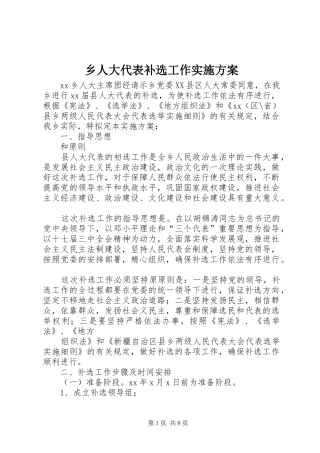 乡人大代表补选工作方案