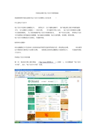 中国农业银行电子支付卡使用