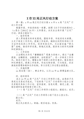 X市XX局正风行动实施方案