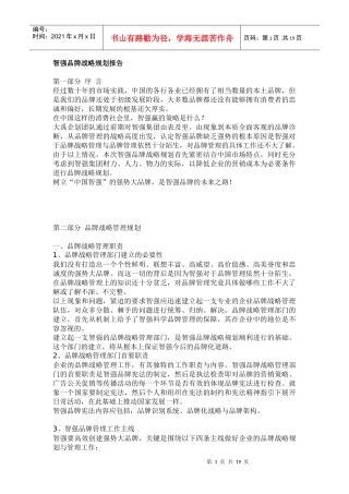 智强品牌战略规划报告(1)