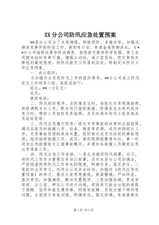 XX分公司防汛应急预案
