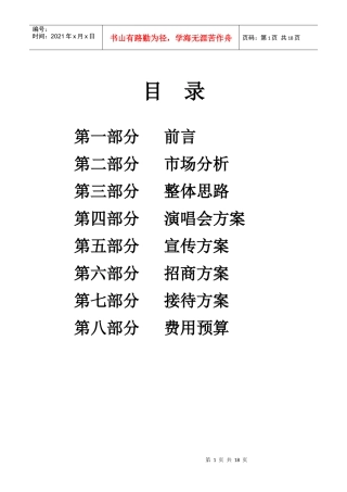 明星演唱会推广方案（DOC17页）