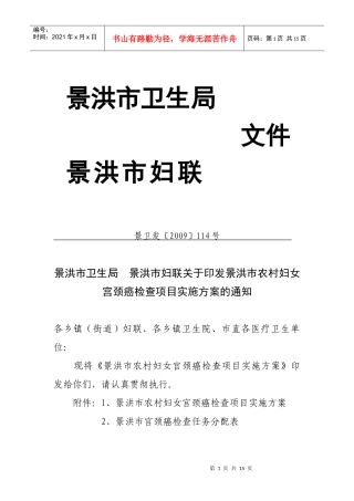 景洪市农村妇女宫颈癌检查项目实施方案