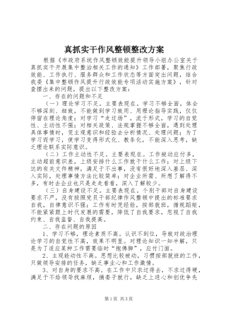 真抓实干作风整顿整改实施方案
