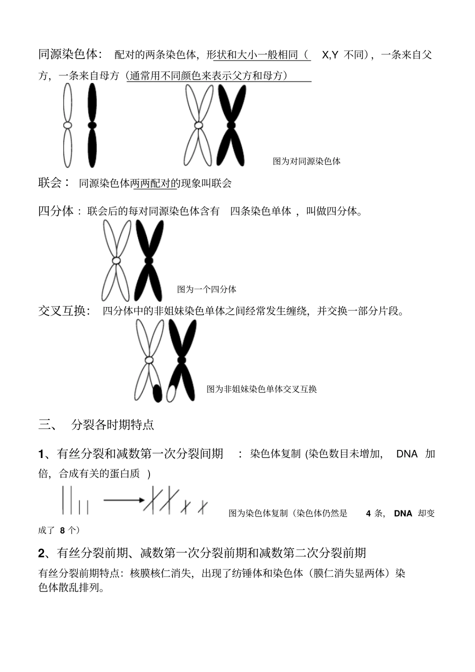 (完整word版)减数分裂与有丝分裂异同_第2页